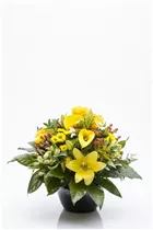 - Zantedeschia aethiopica, gelb  - Zantedeschia aethiopica, gelb