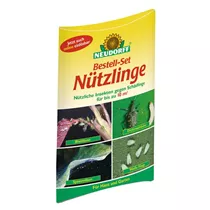 Neudorff - Bestell-Set Nützlinge Gegen Schadinsekten 1 Stück Neudorff - Bestell-Set Nützlinge Gegen Schadinsekten 1 Stück