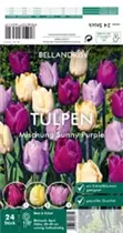 Blumenzwiebeln - Sort. Tulpen-Mischung Sunny Purple x24