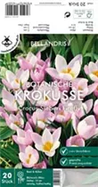 Blumenzwiebeln - Krokus Sp. sieberi Firefly x20