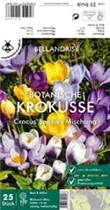 Blumenzwiebeln - Krokus Sp. Mischung x25