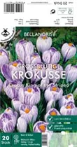 Blumenzwiebeln - Krokus King of the Striped x20