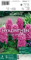 Blumenzwiebeln - Hyazinthe Pink Pearl x5 Blumenzwiebeln - Hyazinthe Pink Pearl x5