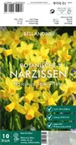 Blumenzwiebeln - Narzissen Tete a Tete x10