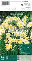 Blumenzwiebeln - Narzissen Minnow x10