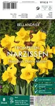 Blumenzwiebeln - Narzissen Dutch Master x8