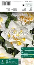 Blumenzwiebeln - Narzissen White Lion x8