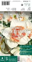 Blumenzwiebeln - Narzisse Replete x8