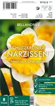 Blumenzwiebeln - Narzissen Orangerie x8
