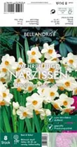 Blumenzwiebeln - Narzissen Geranium x8