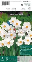 Blumenzwiebeln - Narzissen poeticus Actaea x8