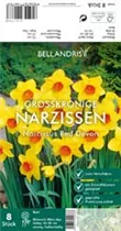 Blumenzwiebeln - Narzissen Red Devon x8