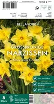 Blumenzwiebeln' - Narzissen Carlton x8