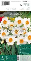 Blumenzwiebeln - Narzisse Barret Browning x8