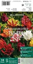 Blumenzwiebeln - Tulpen Papageien Mischung x10