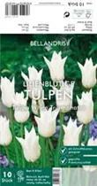 Blumenzwiebeln - Tulpen White Triumphator x10