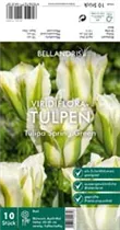 Blumenzwiebeln - Tulpen Spring Green x10 Blumenzwiebeln - Tulpen Spring Green x10