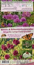 Blumenzwiebeln - Zierlauch Für Den Wildwiesen 40 Stück - Gemischt