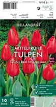 Blumenzwiebeln - Tulpen Red Impression x10