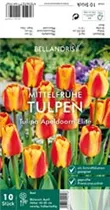 Blumenzwiebeln - Tulpen Apeldoorn Elite x10
