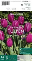 Blumenzwiebeln - Tulpen Purple Prince x10