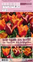 Blumenzwiebeln - Sort. Wow-Effekt - das knallt! x25