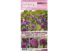 Blumenzwiebeln - Sort. Zierlauch, ein Paukenschlag x25