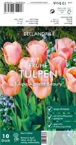 Blumenzwiebeln - Tulpen Apricot Beauty x10