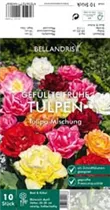 Blumenzwiebeln - Tulpen Gefüllte frühe Mischung x10