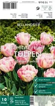 Blumenzwiebeln - Tulpen Foxtrot x10