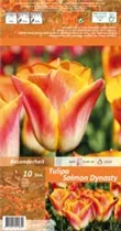 Blumenzwiebeln - Tulpen Salmon Dynasty x10