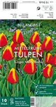 Blumenzwiebeln - Tulpen Mary Belle x10