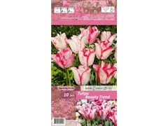 Blumenzwiebeln - Tulpen Beauty Trend x10