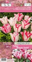 Blumenzwiebeln - Tulpen Beauty Trend x10