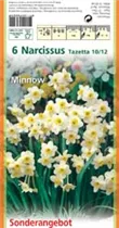 Blumenzwiebeln - Narzissen Minnow x6