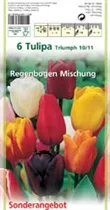 Blumenzwiebeln - Tulpen Regenbogen Mischung x6