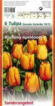 Blumenzwiebeln - Tulpen Blushing Apeldoorn x6