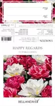Blumenzwiebeln - Sort. Happy Regards x25