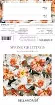 Blumenzwiebeln - Sort. Spring Greetings x16