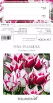 Blumenzwiebeln - Sort. Pink Pleasure x25
