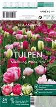 Blumenzwiebeln - Sort. Tulpen-Mischung White Pink x24
