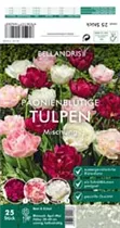 Blumenzwiebeln - Sort. Tulpen-Mischung Päonienblütig x25