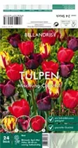 Blumenzwiebeln - Sort. Tulpen-Mischung Colorful x24