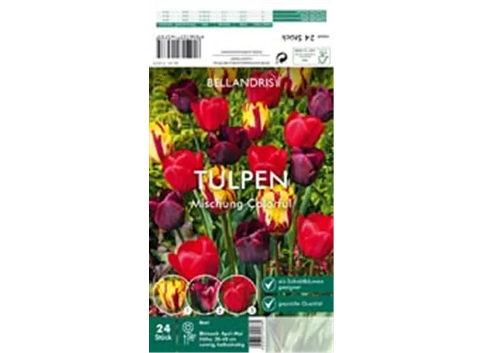 Blumenzwiebeln - Sort. Tulpen-Mischung Colorful x24