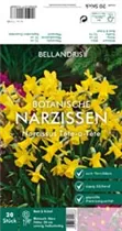 Blumenzwiebeln - Narzissen Tete a Tete x20 Blumenzwiebeln - Narzissen Tete a Tete x20