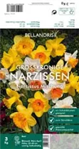 Blumenzwiebeln - Narzissen Großkronig Mischung x3 kg