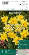 Blumenzwiebeln - Narzissen Carlton x3 kg