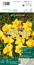 Blumenzwiebeln - Narzissen Dutch Master x16