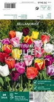 Blumenzwiebeln - Tulpen Regenbogen-Mischung x20