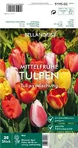 Blumenzwiebeln - Tulpen Darwin Hybride Mischung x20 Blumenzwiebeln - Tulpen Darwin Hybride Mischung x20